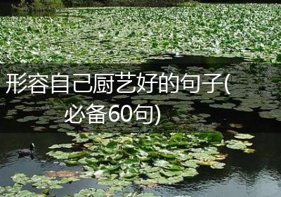 形容自己厨艺好的句子(必备60句)