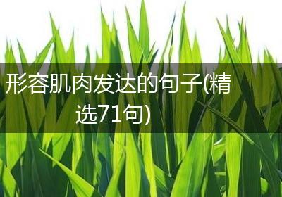 形容肌肉发达的句子(精选71句)