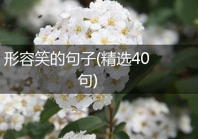 形容笑的句子(精选40句)