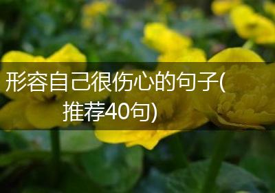 形容自己很伤心的句子(推荐40句)