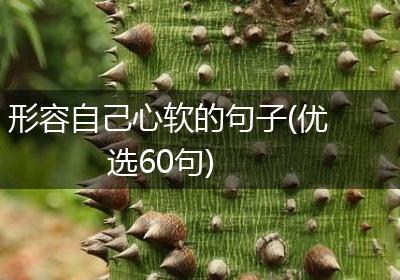 形容自己心软的句子(优选60句)
