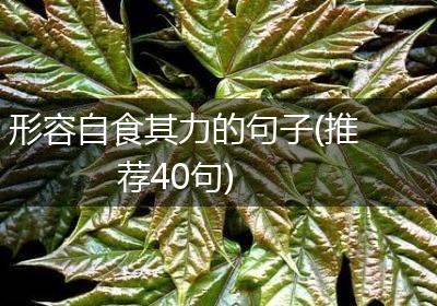 形容自食其力的句子(推荐40句)