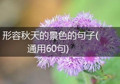 形容秋天的景色的句子(通用60句)