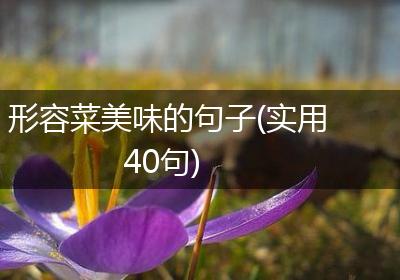 形容菜美味的句子(实用40句)