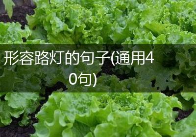形容路灯的句子(通用40句)