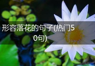 形容落花的句子(热门50句)