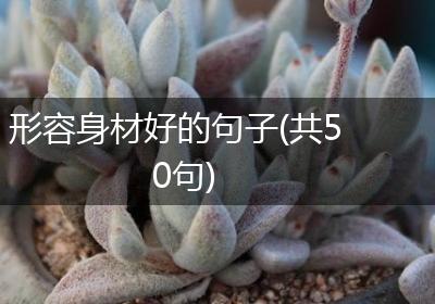 形容身材好的句子(共50句)