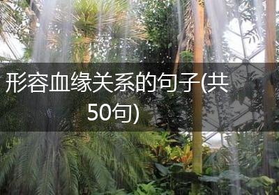 形容血缘关系的句子(共50句)