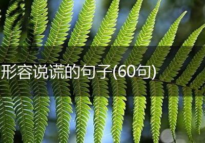 形容说谎的句子(60句)