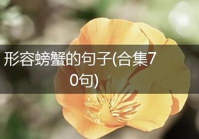 形容螃蟹的句子(合集70句)