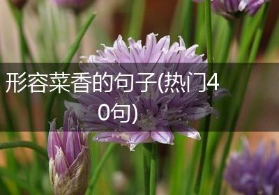 形容菜香的句子(热门40句)