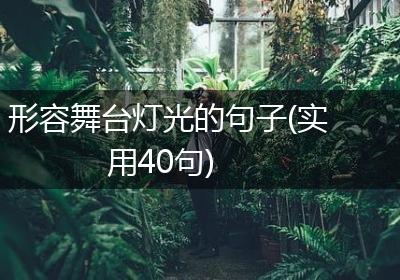 形容舞台灯光的句子(实用40句)