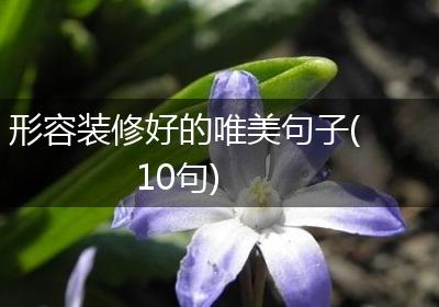 形容装修好的唯美句子(10句)