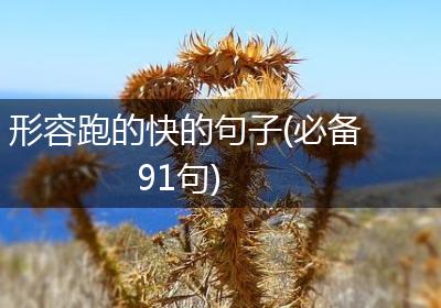 形容跑的快的句子(必备91句)