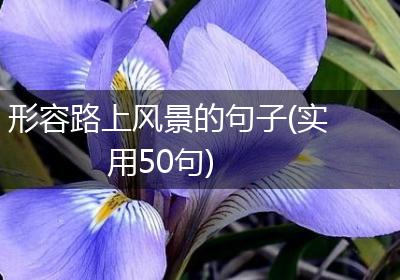 形容路上风景的句子(实用50句)
