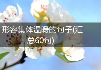 形容集体温暖的句子(汇总60句)