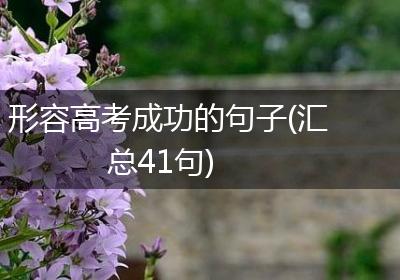 形容高考成功的句子(汇总41句)