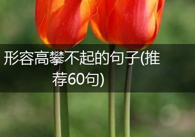 形容高攀不起的句子(推荐60句)