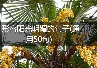 形容阳光明媚的句子(通用50句)