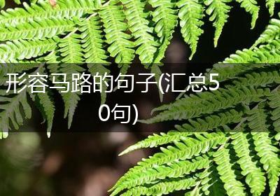 形容马路的句子(汇总50句)
