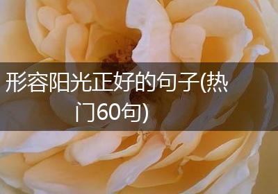 形容阳光正好的句子(热门60句)