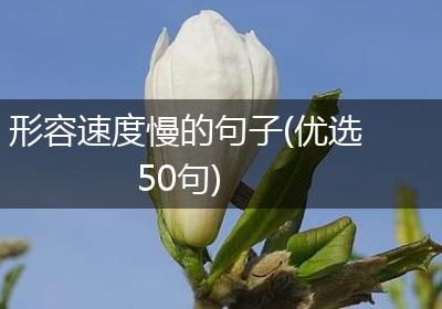 形容速度慢的句子(优选50句)