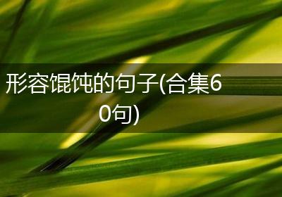 形容馄饨的句子(合集60句)