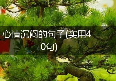 心情沉闷的句子(实用40句)