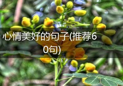 心情美好的句子(推荐60句)