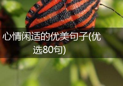 心情闲适的优美句子(优选80句)