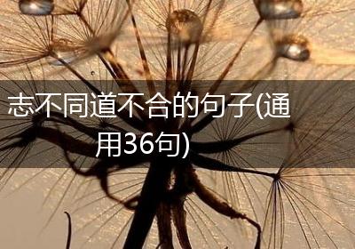志不同道不合的句子(通用36句)