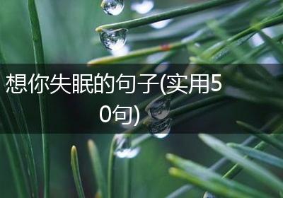 想你失眠的句子(实用50句)