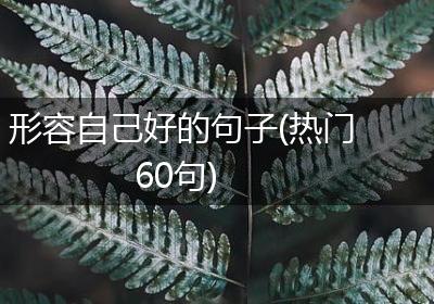 形容自己好的句子(热门60句)