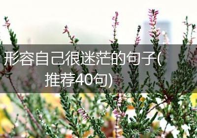 形容自己很迷茫的句子(推荐40句)