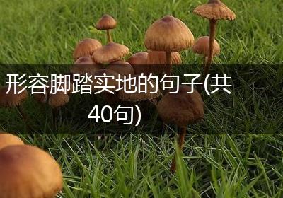 形容脚踏实地的句子(共40句)
