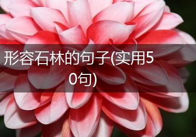 形容石林的句子(实用50句)