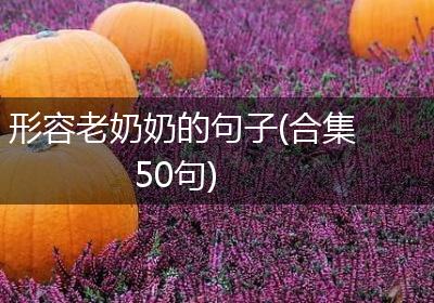 形容老奶奶的句子(合集50句)