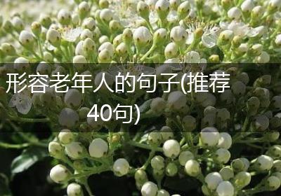 形容老年人的句子(推荐40句)