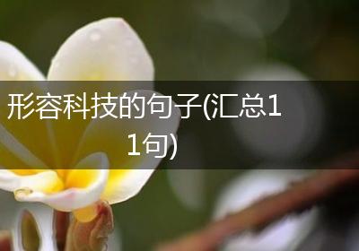 形容科技的句子(汇总11句)