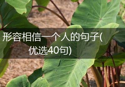 形容相信一个人的句子(优选40句)