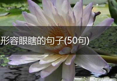 形容眼瞎的句子(50句)