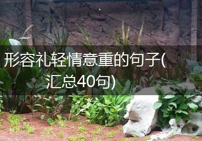 形容礼轻情意重的句子(汇总40句)