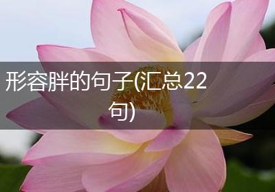 形容胖的句子(汇总22句)