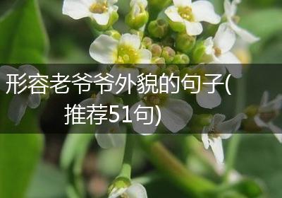 形容老爷爷外貌的句子(推荐51句)