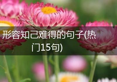 形容知己难得的句子(热门15句)