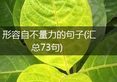 形容自不量力的句子(汇总73句)