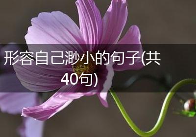 形容自己渺小的句子(共40句)