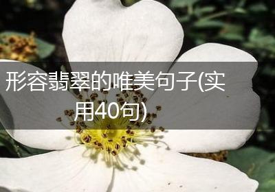 形容翡翠的唯美句子(实用40句)