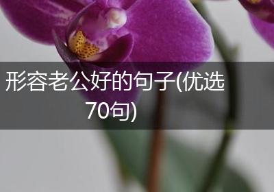 形容老公好的句子(优选70句)