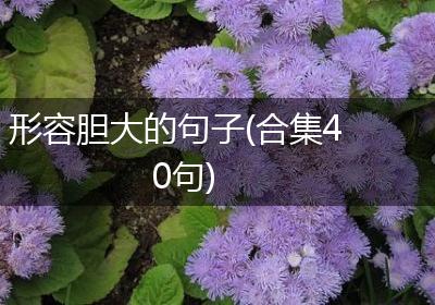 形容胆大的句子(合集40句)